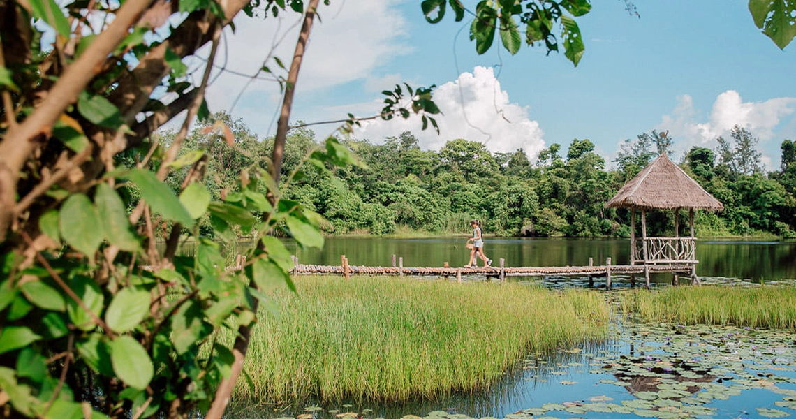 Tri Vananda  luxury villas land scape