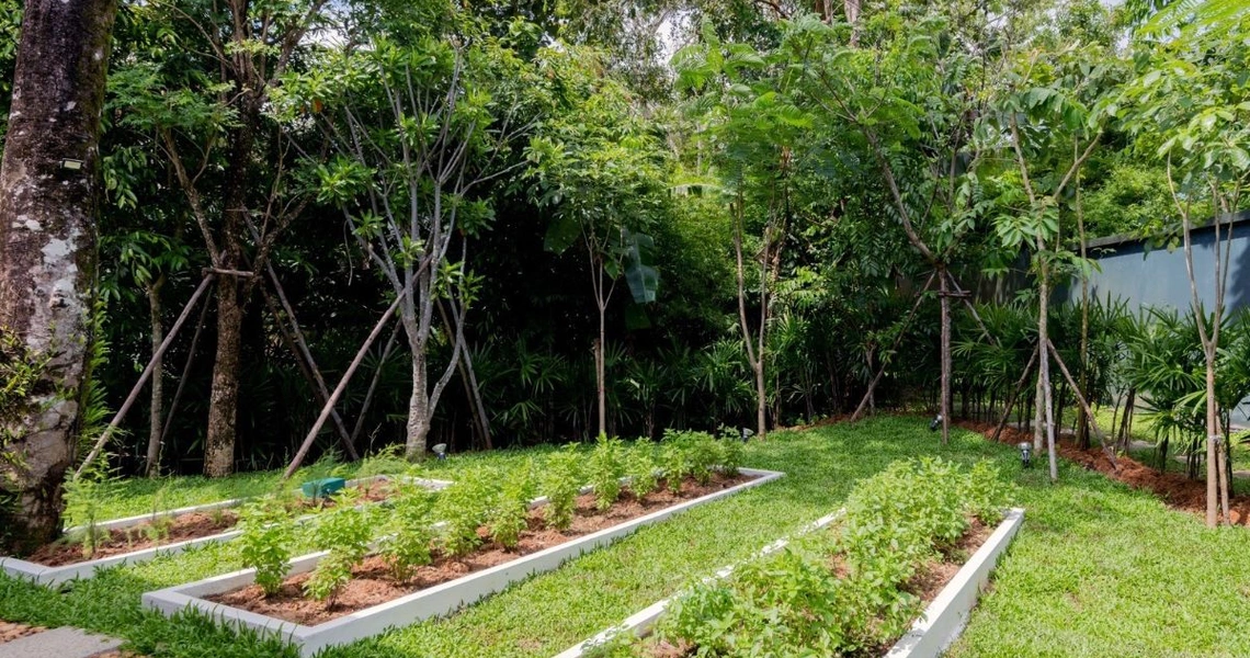 Trisara Signature Villa - Garden area