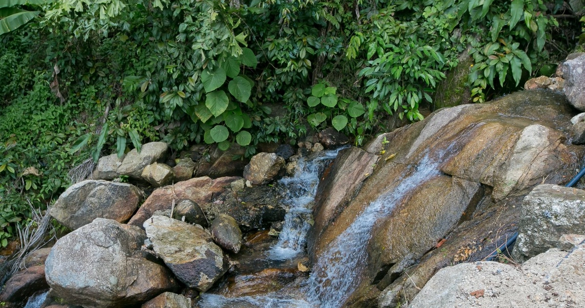 Villa Cascade  Kamala Headland - water fall