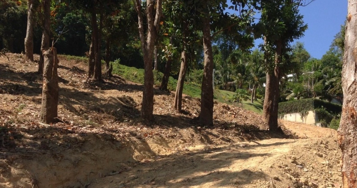 Tamarind Bay oceanfront land - Front land